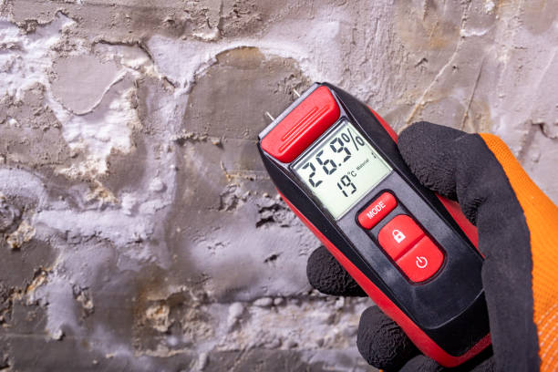 Best Emergency Mold Removal  in Franklin, LA