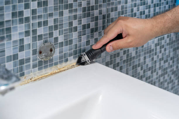 Trusted Franklin, LA Mold Removal Experts