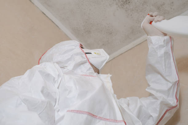 Mold Removal and Inspection in Franklin, LA